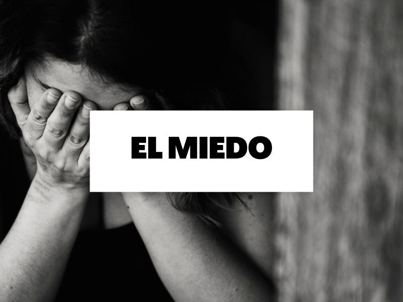 Descubre todo sobre el miedo